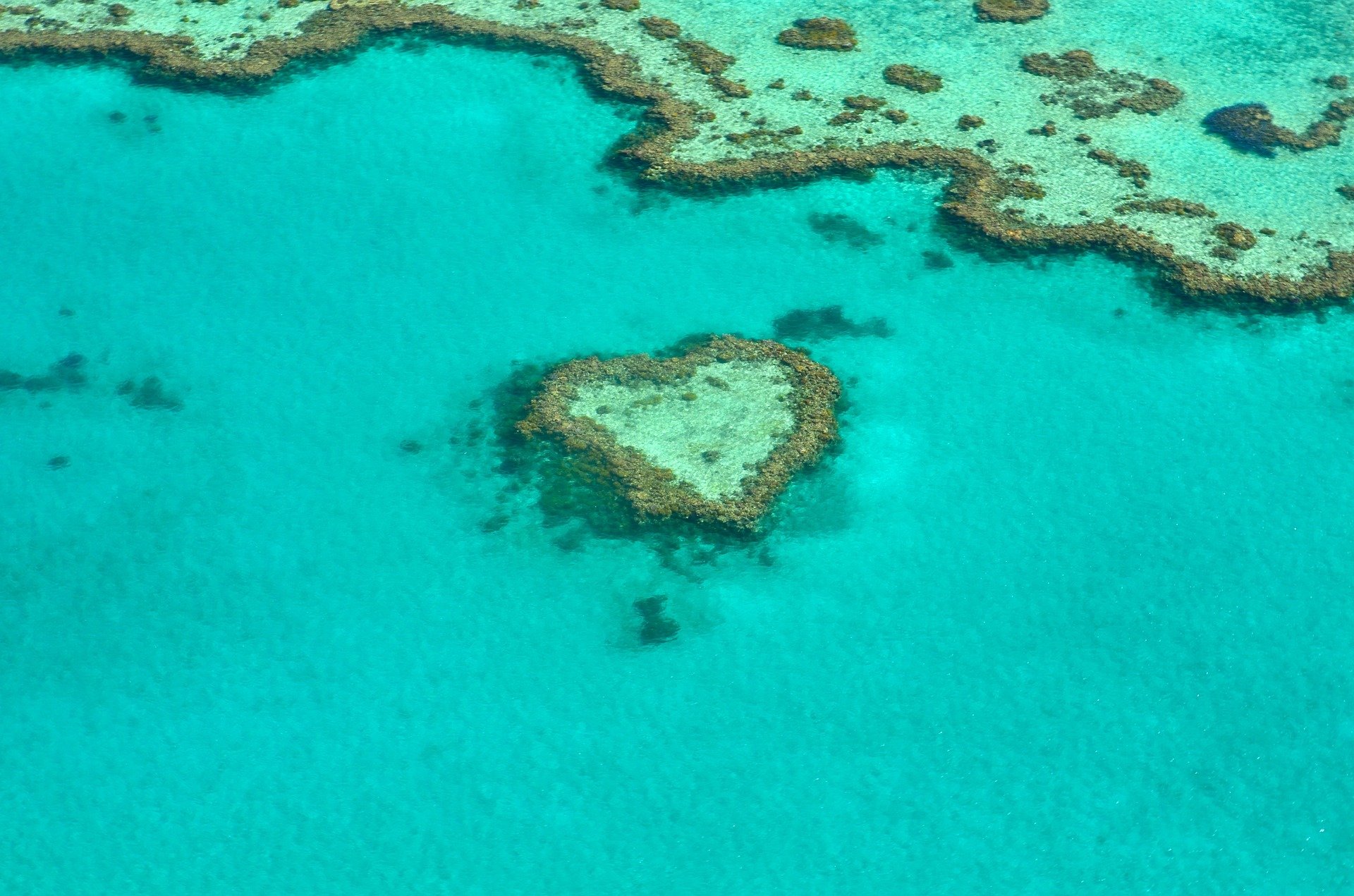 blue sea and heart shaped reef