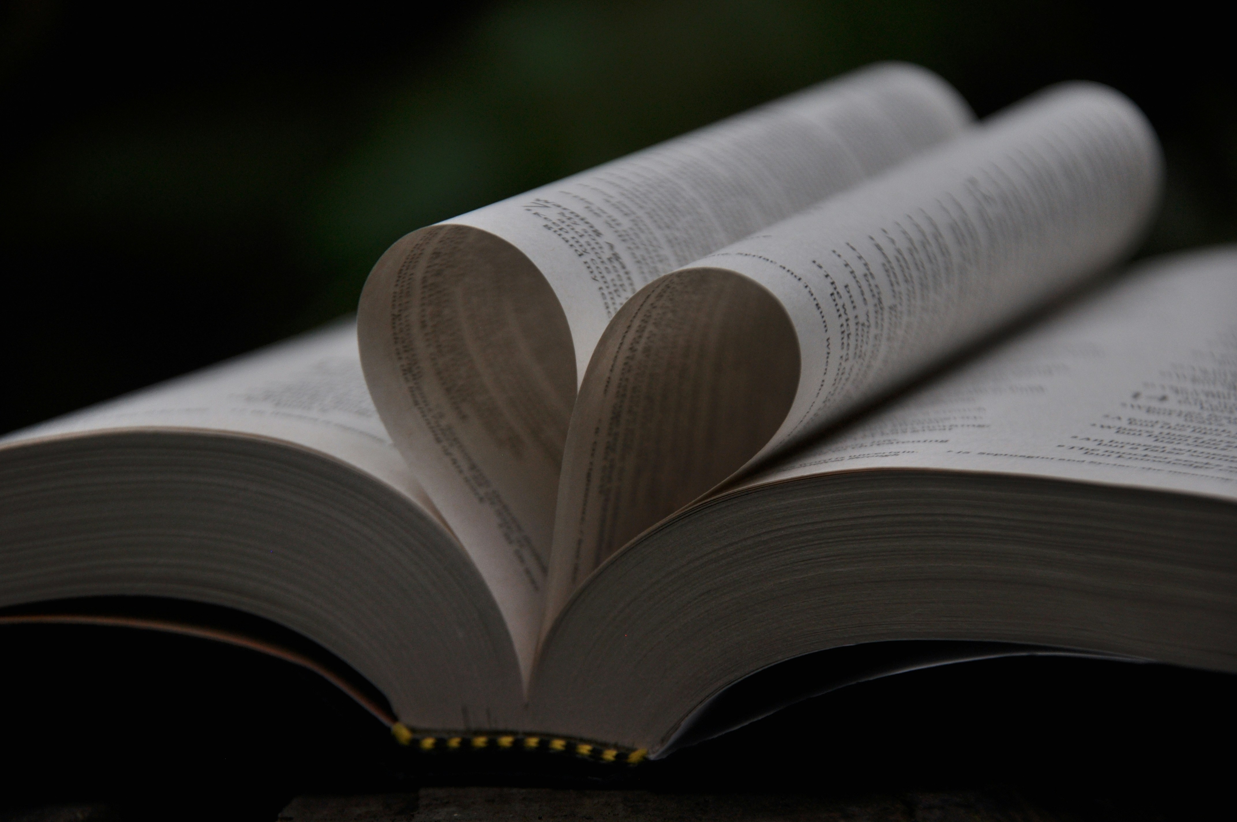 Didow The perfect Valentine's day read - Exeposé Online
